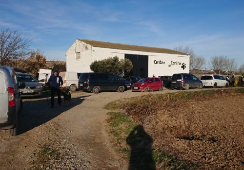 centro de bienestar y educación canina en Zaragoza